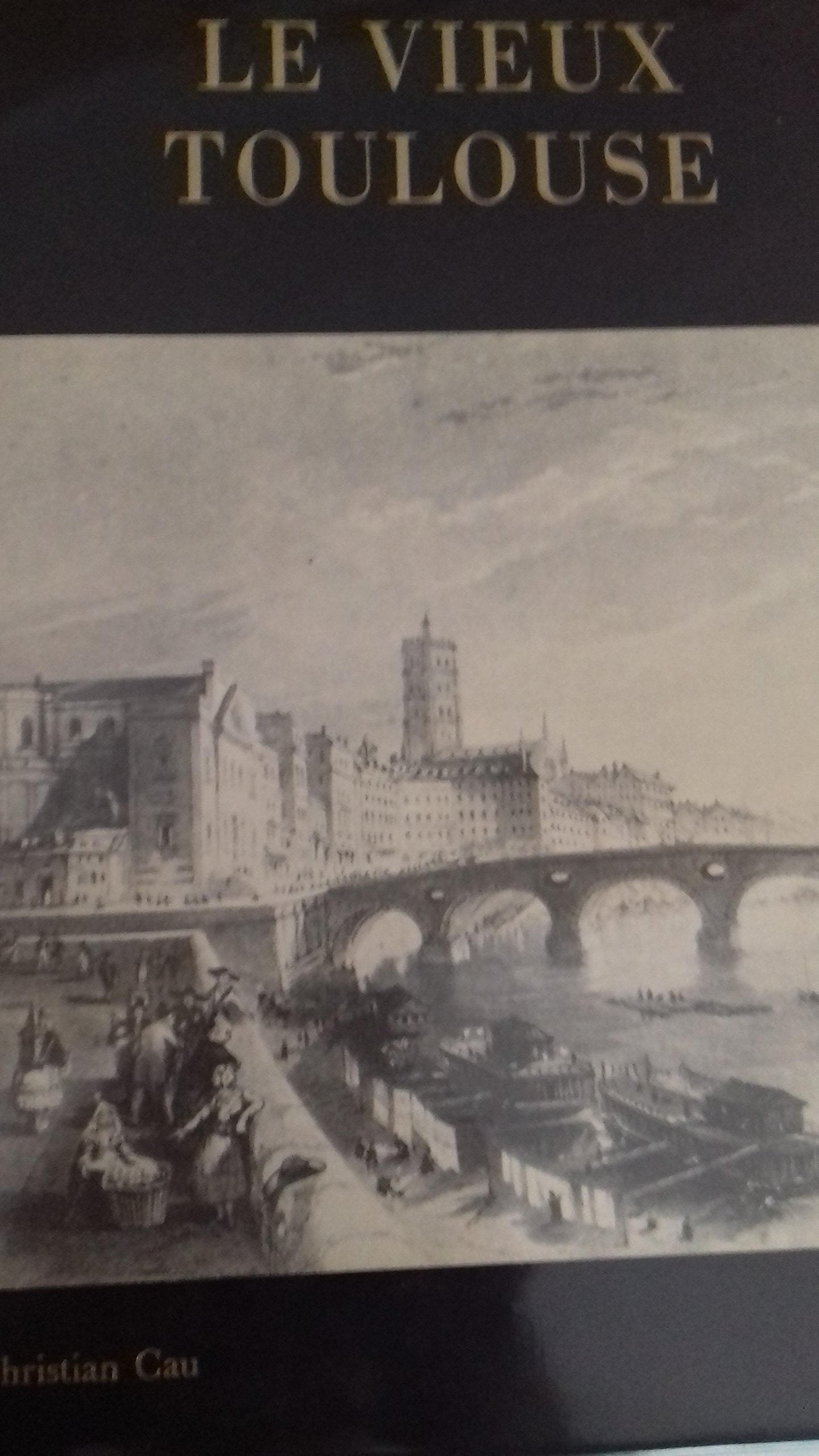 Le Vieux Toulouse (Vieilles villes de France) Books