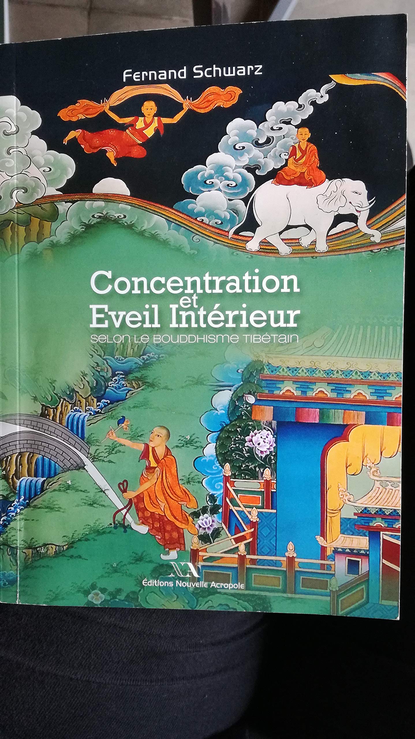 concentration et eveil intérieur selon le bouddhisme tibétain book