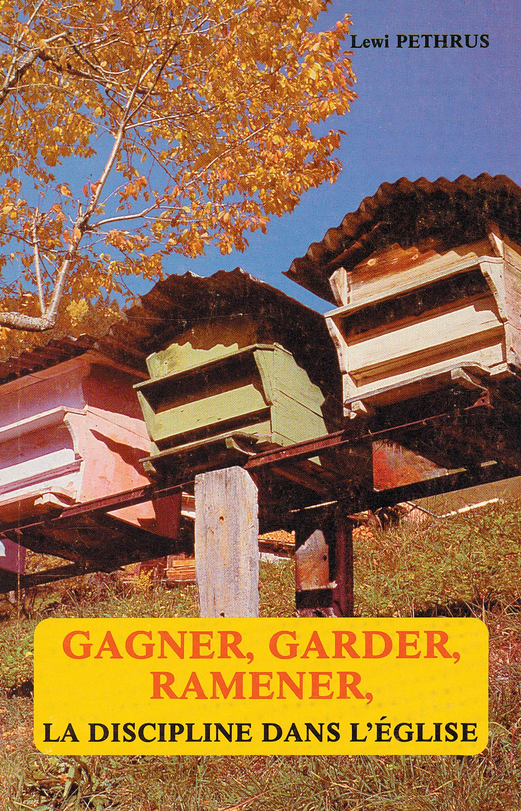 Gagner, garder, ramener : La discipline dans l´Église book