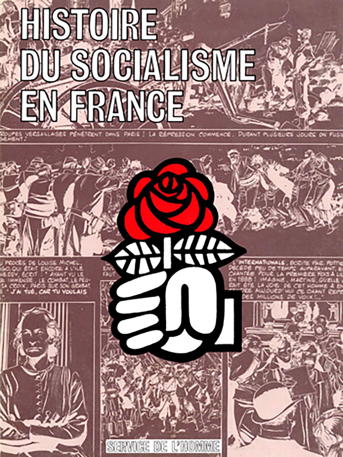 Histoire du socialisme en France book