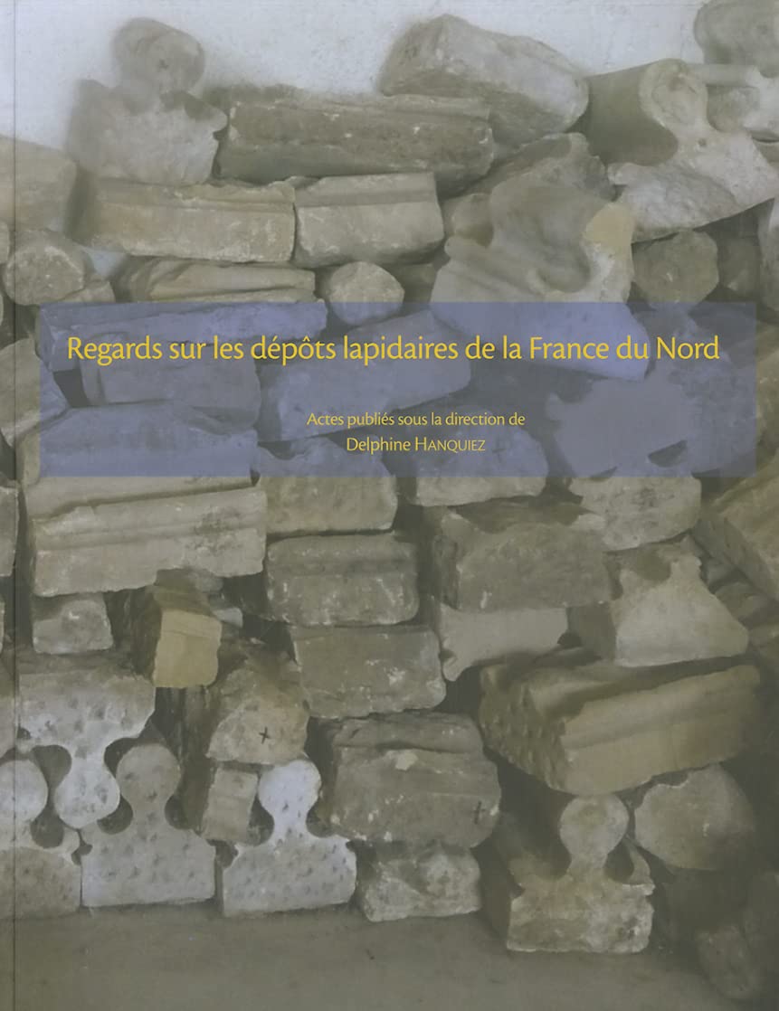 Regards sur les dépôts lapidaires de la France du Nord book