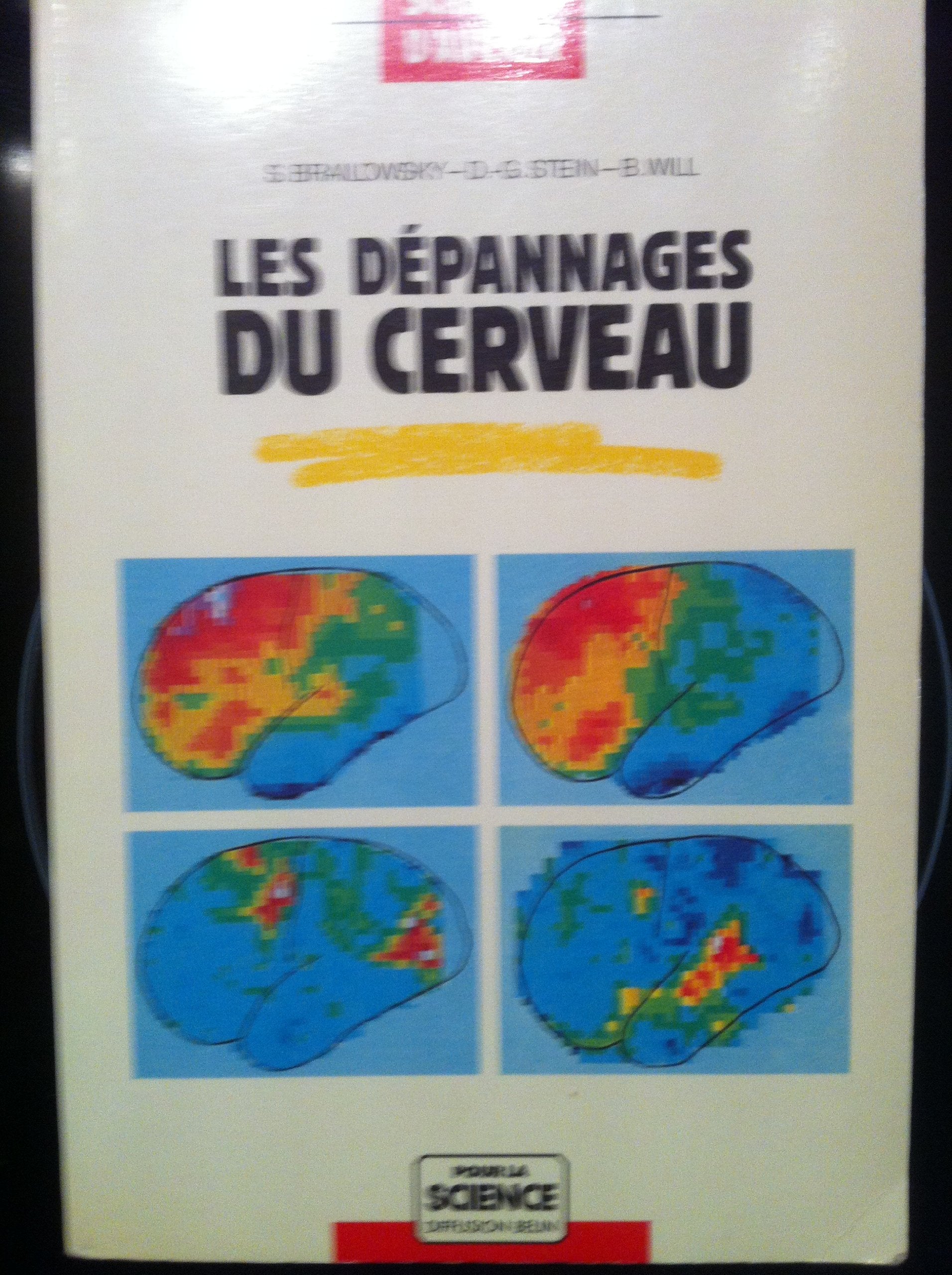 Les dépannages du cerveau book