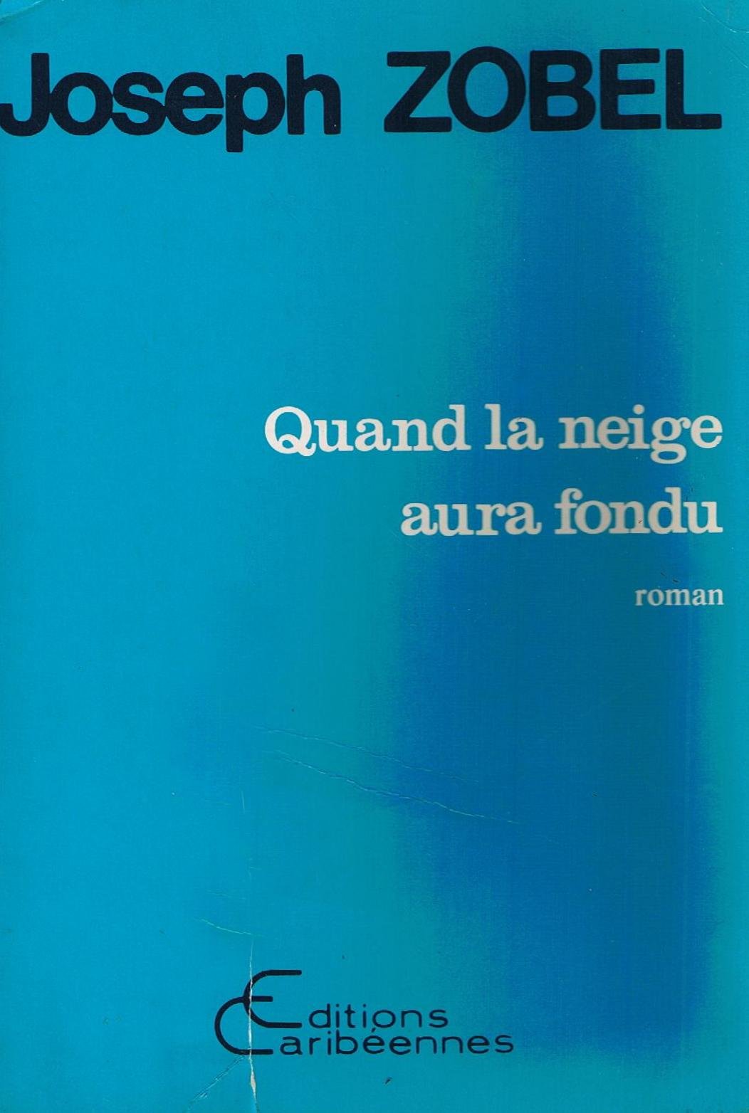 Quand la neige aura fondu book