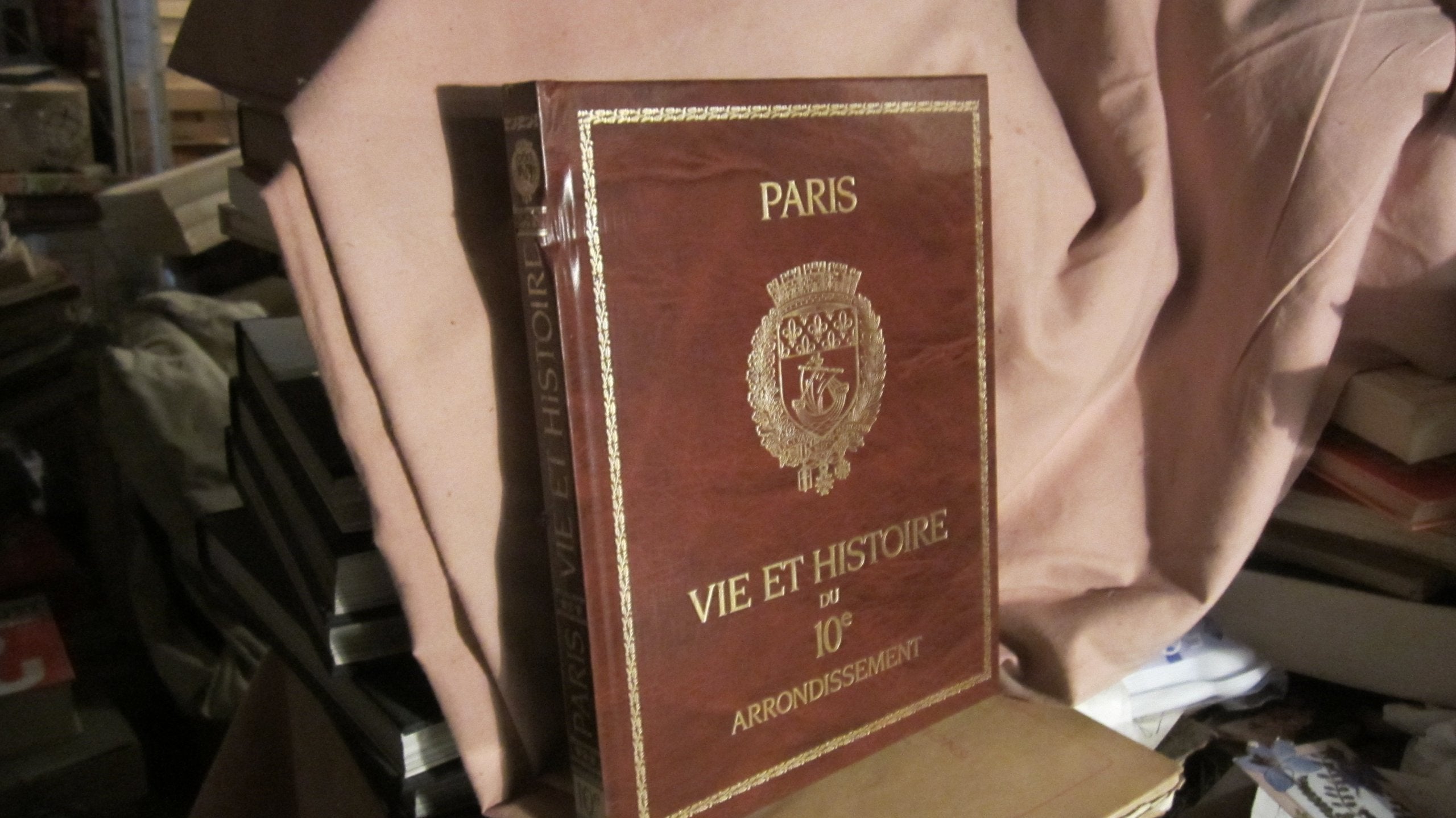 Vie et histoire du Xe arrondissement : Saint-Vincent de Paul, porte Saint-Denis, porte Saint-Martin, hôpital Saint-Louis Travel