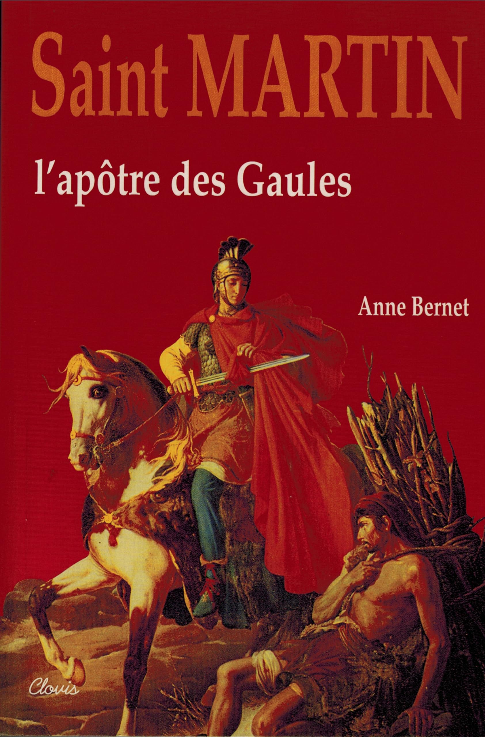 Saint Martin: L'apôtre des Gaules book