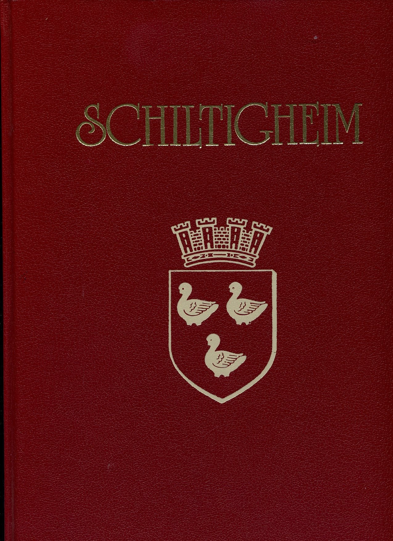 Schiltigheim une ville, une vie Books