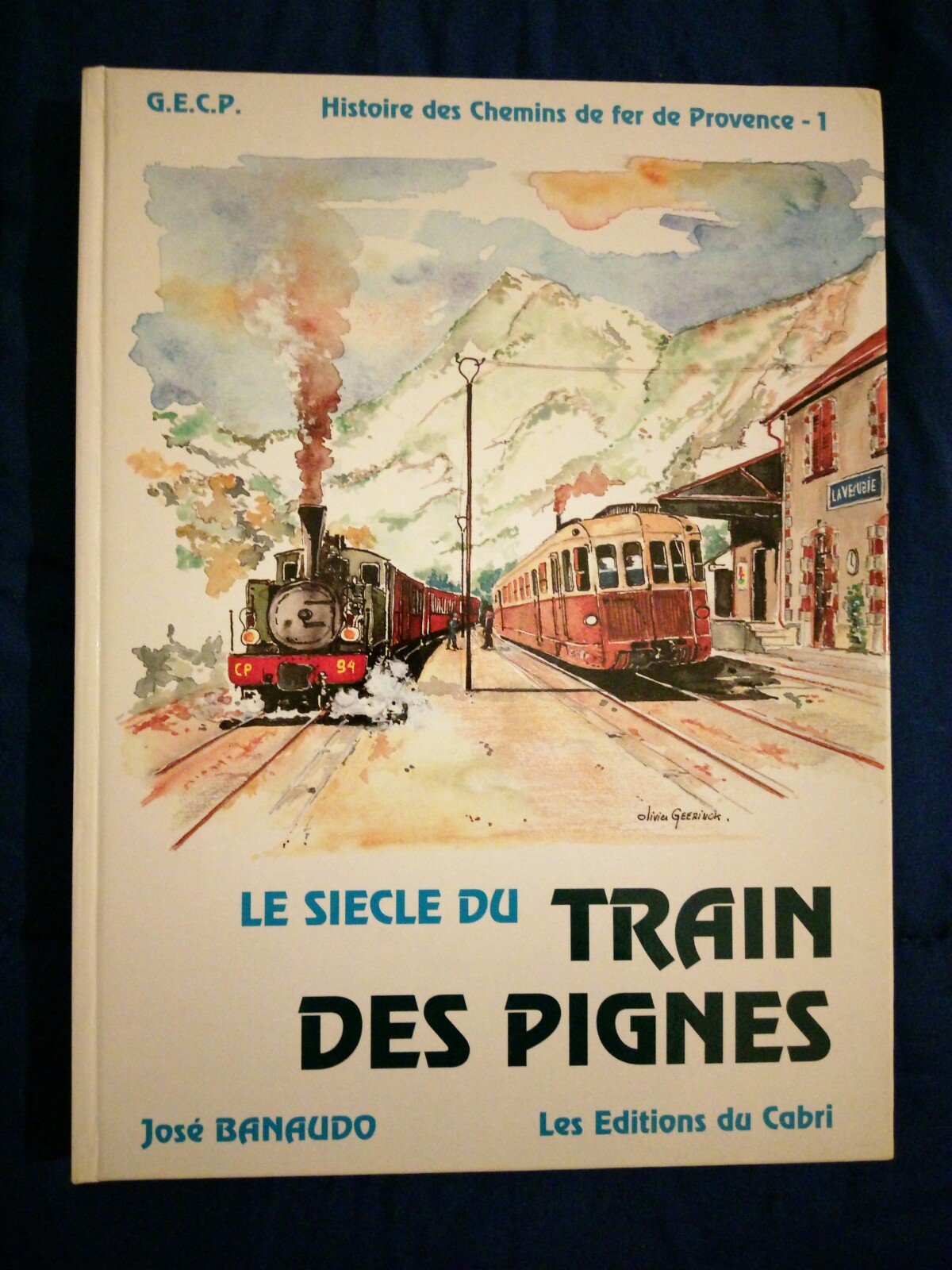 Histoire des chemins de fer de Provence. Vol. 1. Le Siècle du train des pignes book