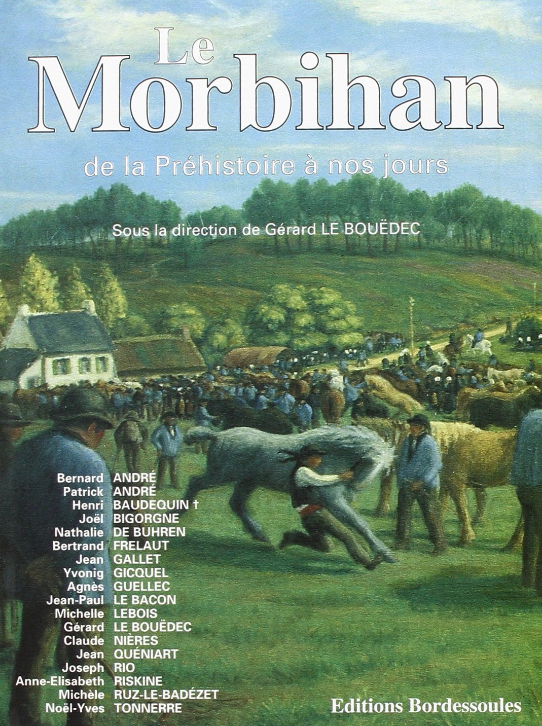 Le Morbihan : de la préhistoire à nos jours Books
