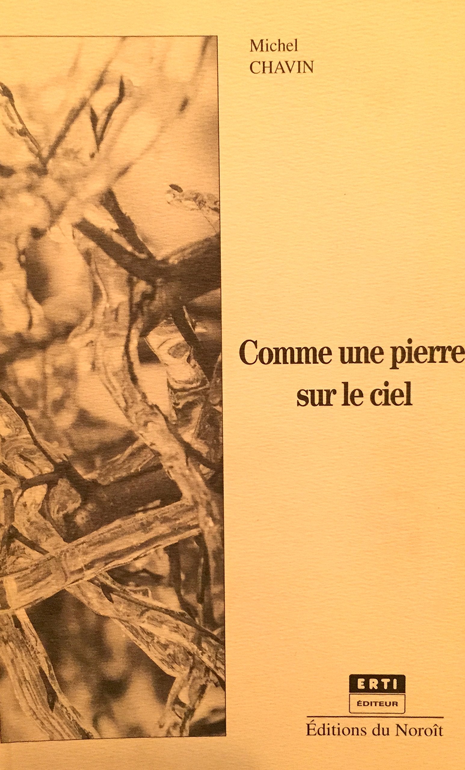 Comme une pierre sur le ciel : esquisses pour une vie book
