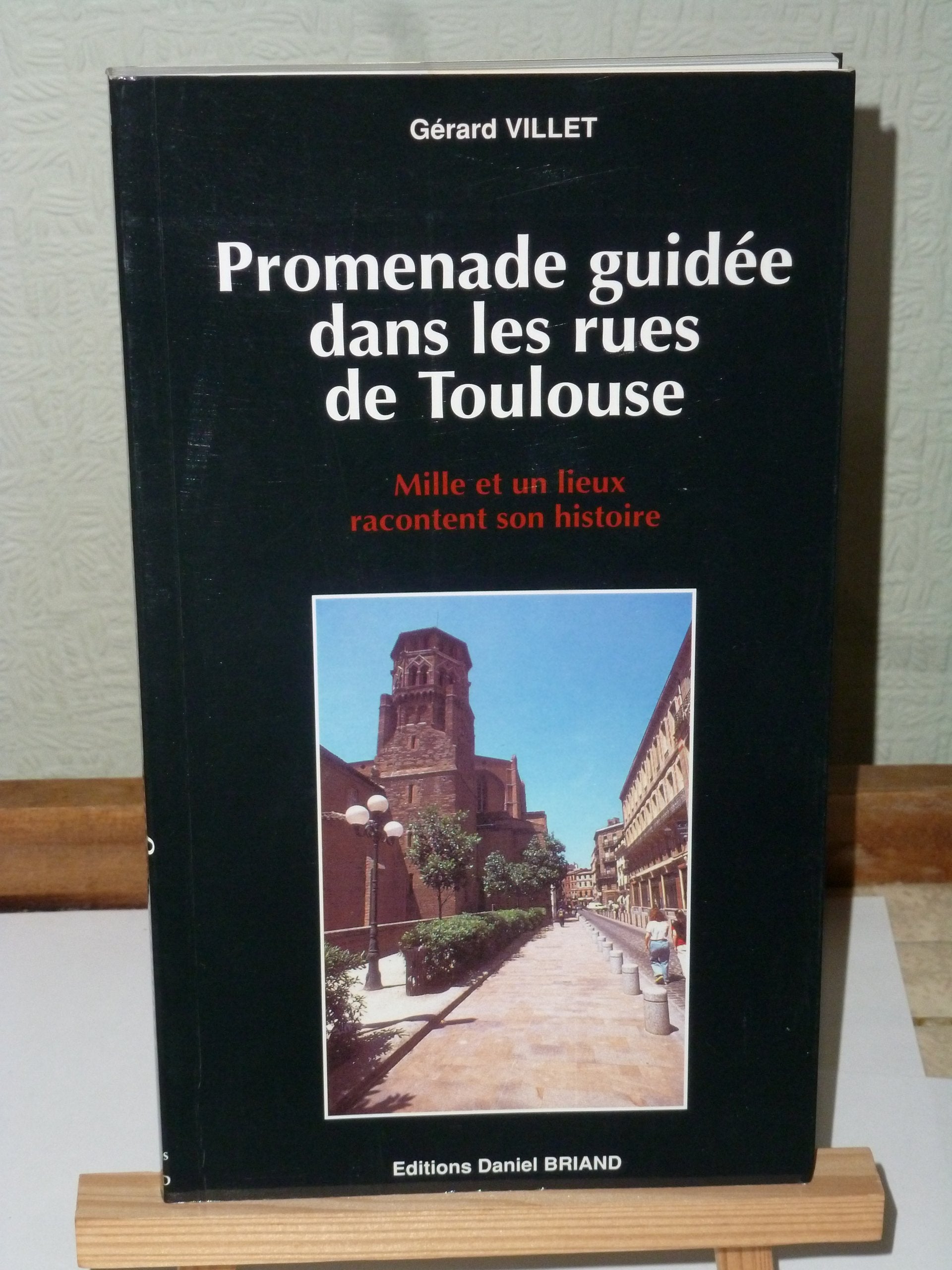 Promenade guidée dans les rues de Toulouse - mille et un lieux racontent son histoire book