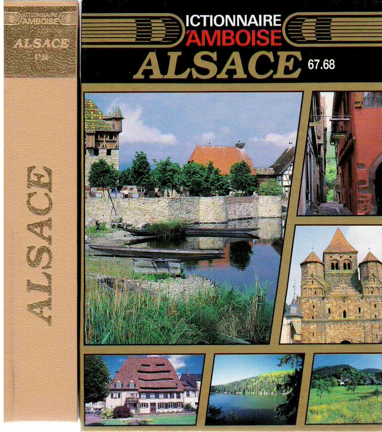 Dictionnaire d'Amboise Tome 1993: Alsace book
