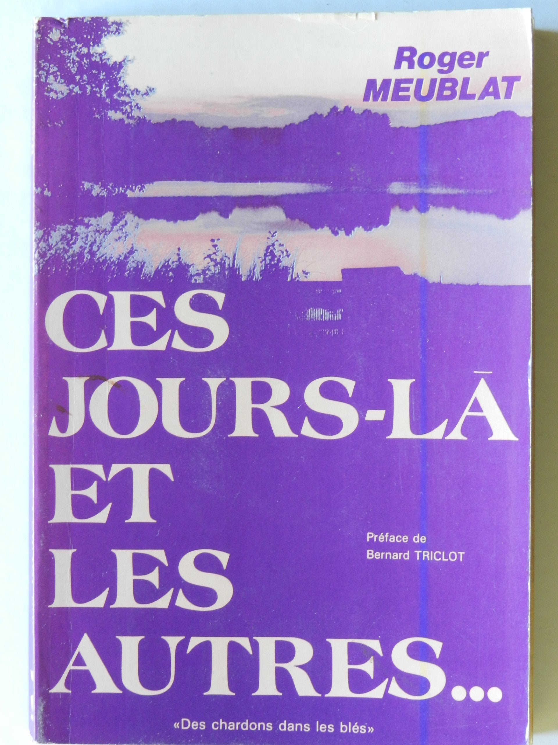 Ces jours-là et les autres (Témoignages) book