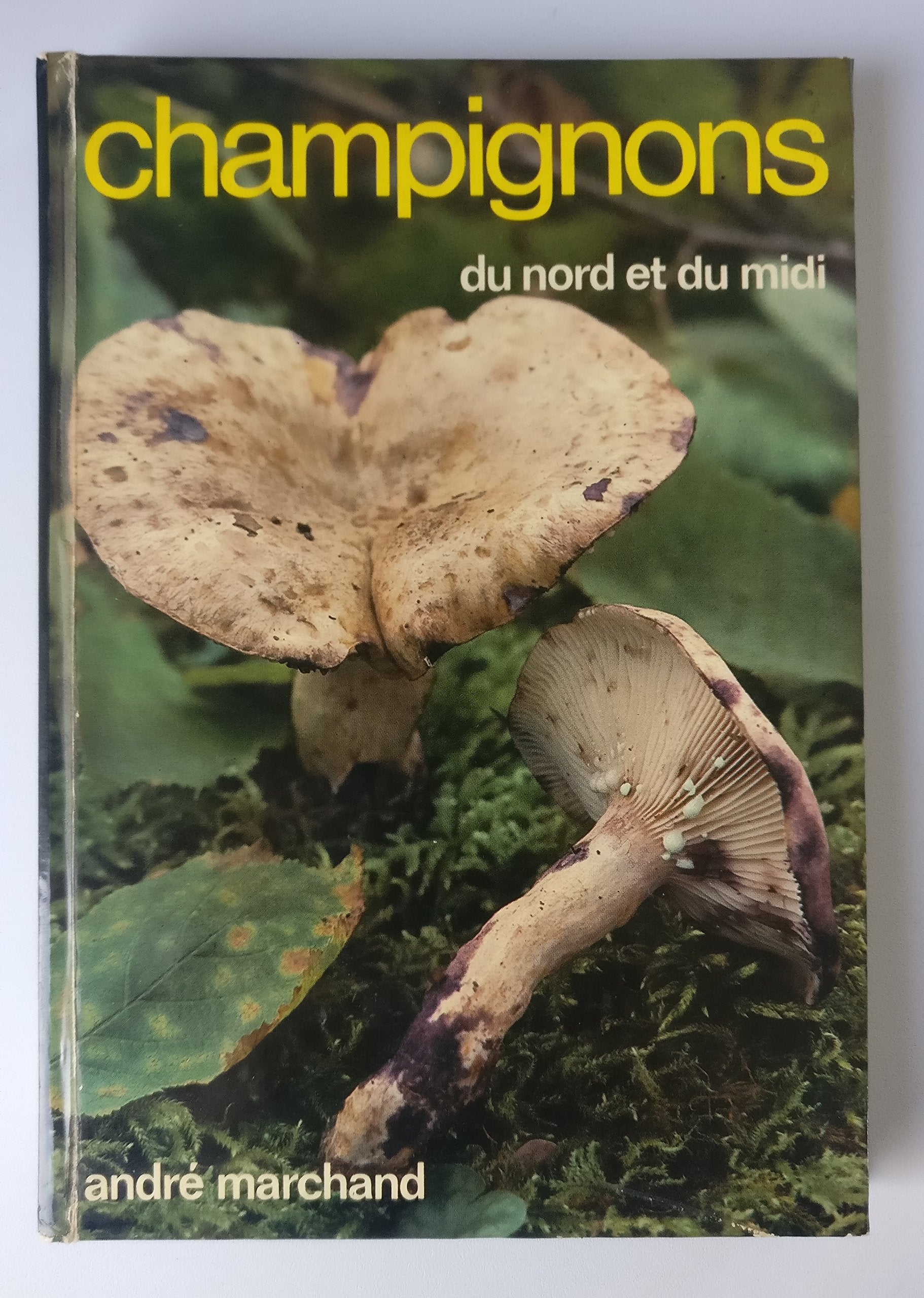 Champignons du Nord et du Midi. Vol. 6. Lactaires et pholiotes Books