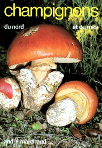 Champignons du Nord et du Midi. Vol. 9. Les tricholomes book