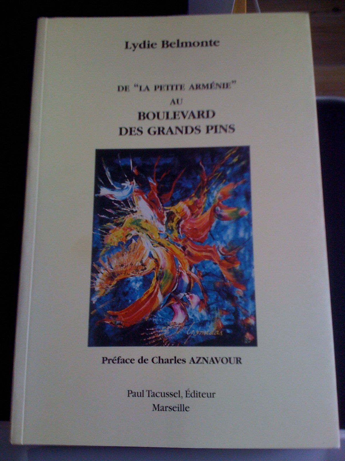 De ma petite armenie aux boulevards des grands pins book