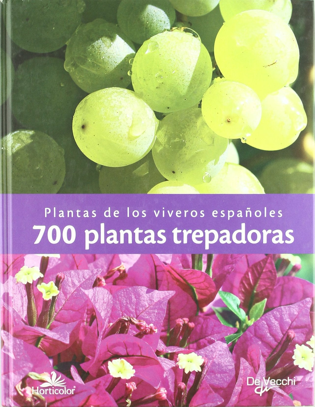Product Image: 700 PLANTAS TREPADORAS