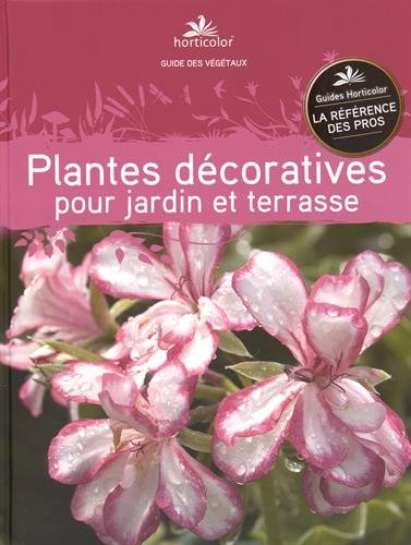 Plantes décoratives pour jardin et terrasse Film, Art & Culture