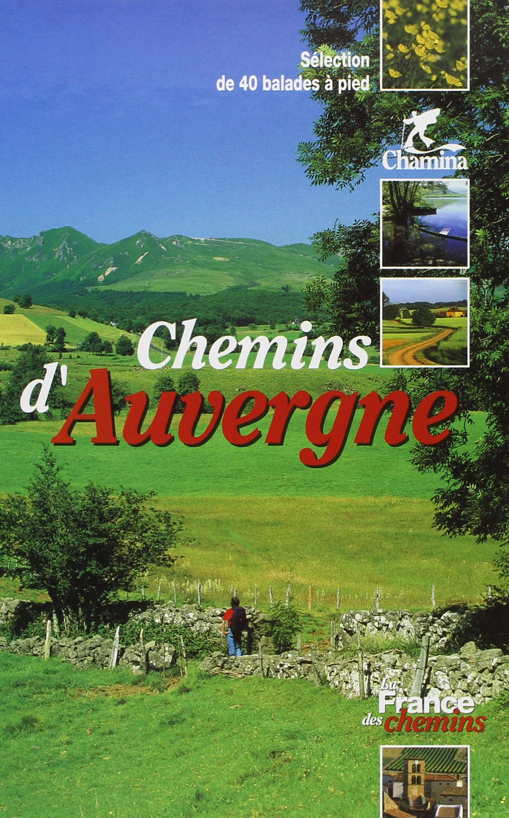 Chemins d'Auvergne, sélection de 40 balades à pied book