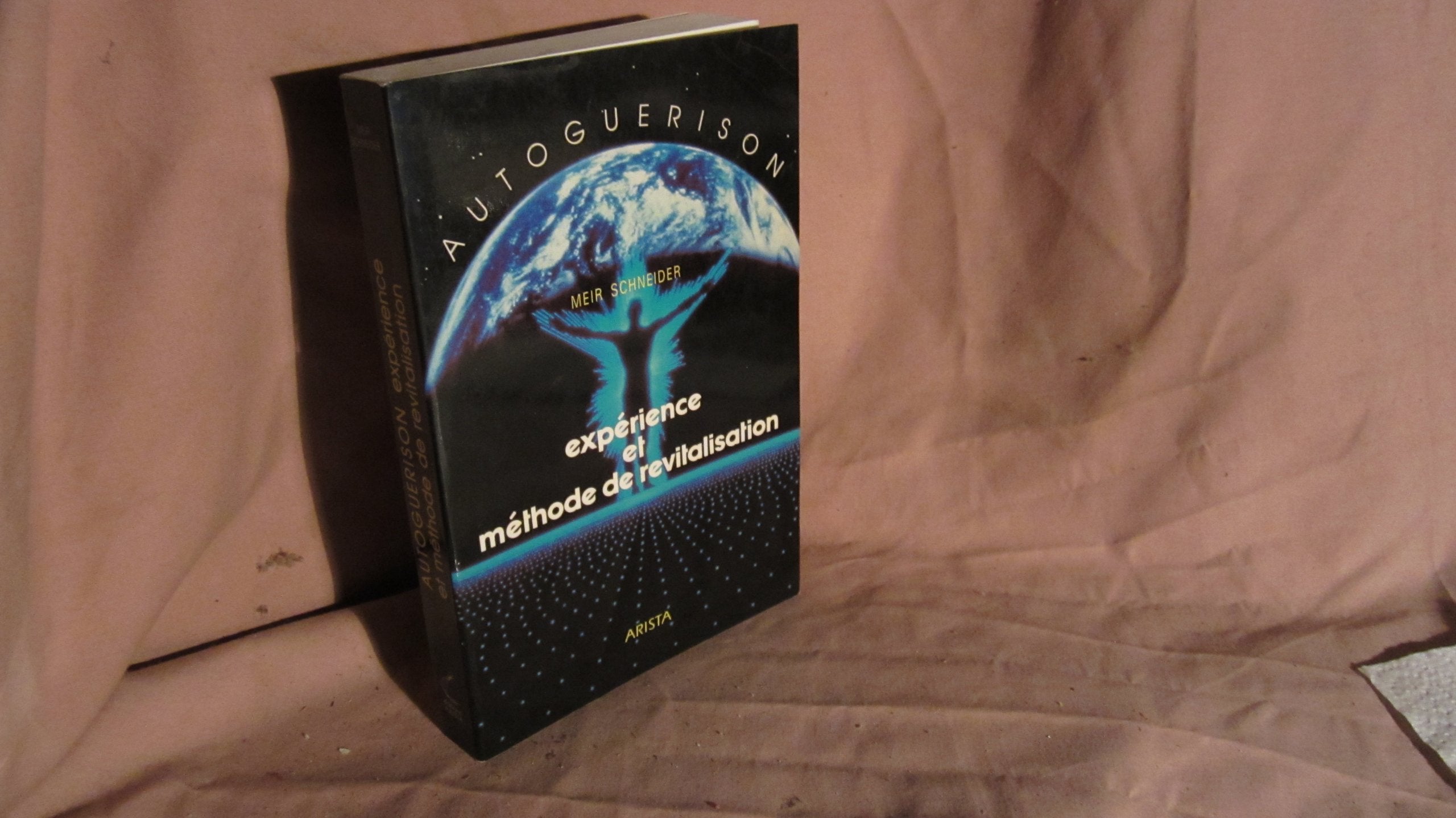 Les voies juives book