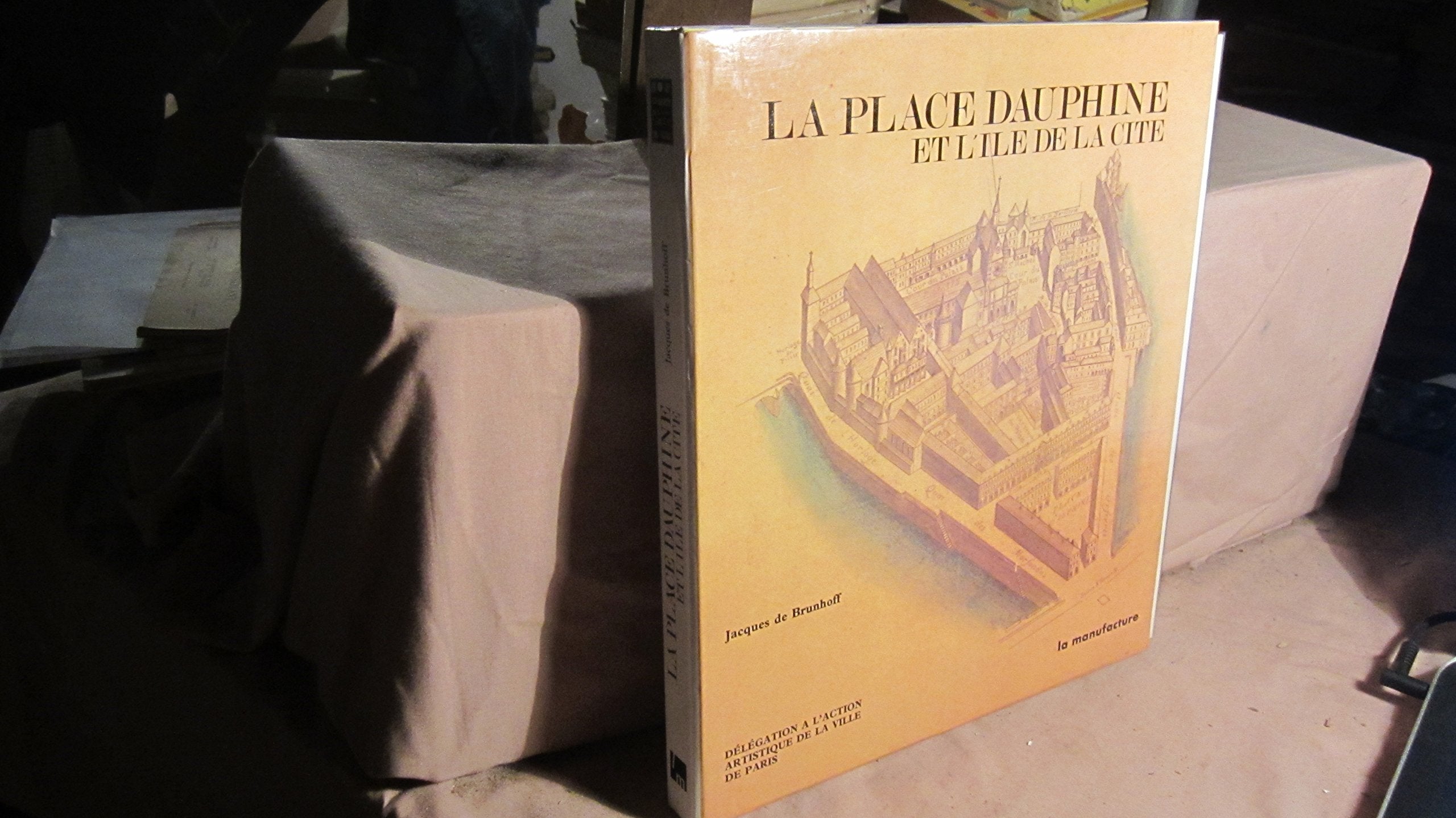La place dauphine et l'ile de la cite (Les Quartiers) Books