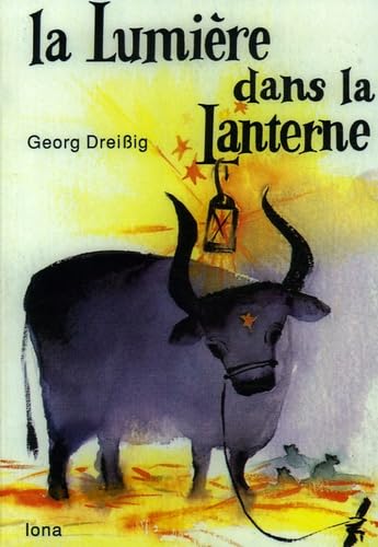 La lumière dans la lanterne : un calendrier de l'avent en histoires Books