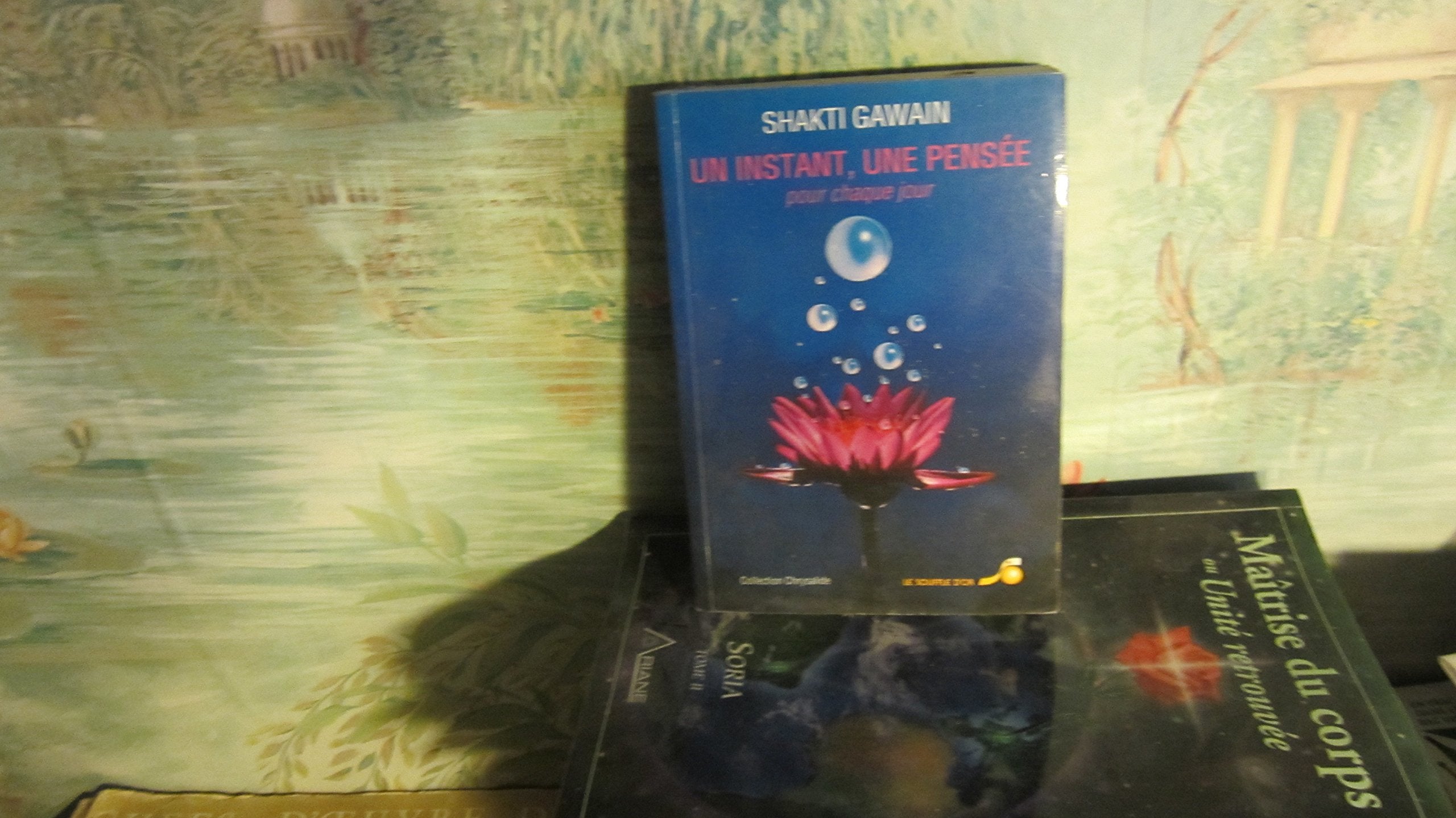 Un instant, une pensée pour chaque jour Books
