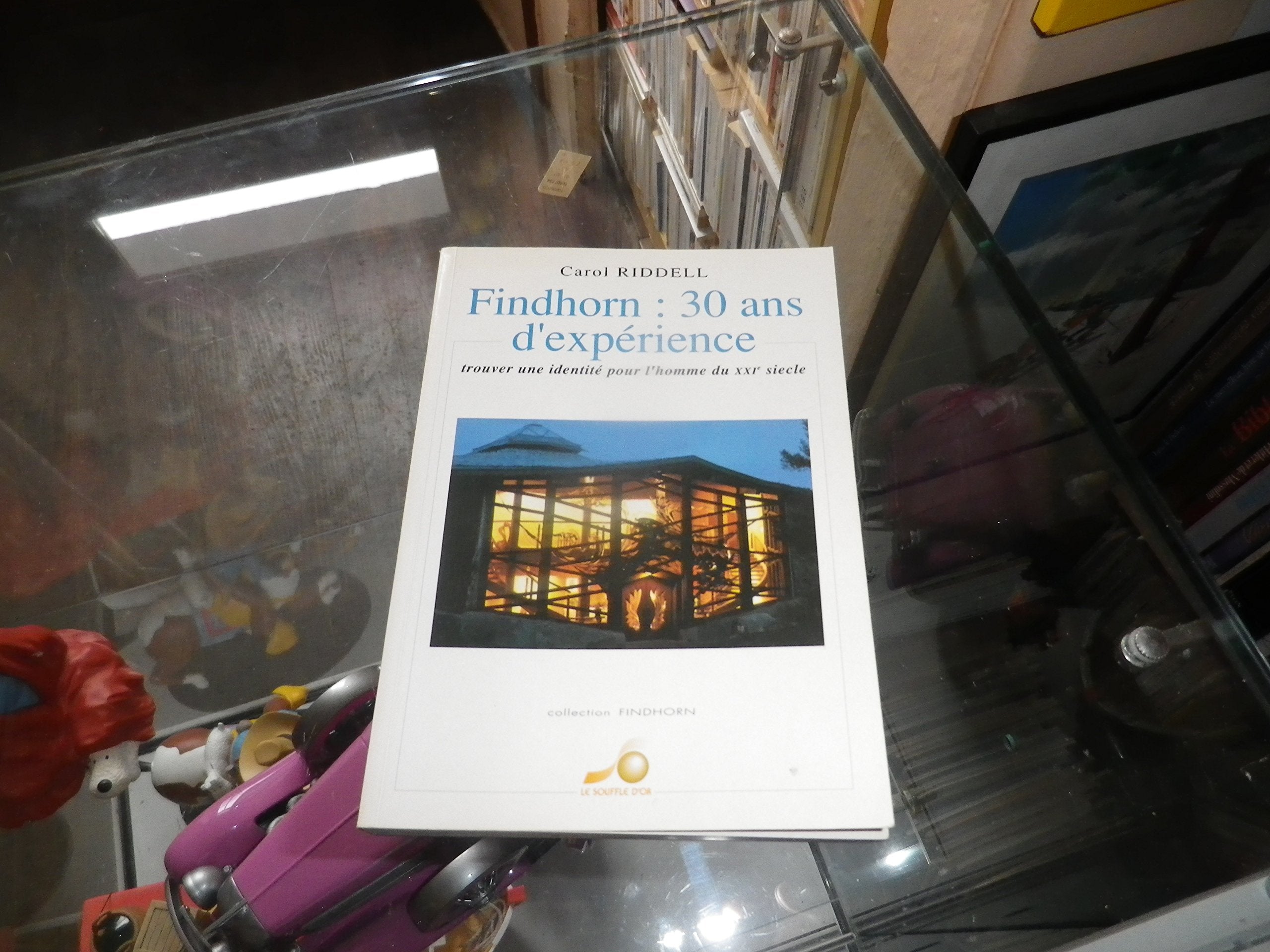 Findhorn : 30 ans d'expérience: Trouver une identité pour l'homme du 21e siècle Books