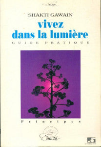 Vivez dans la lumière : guide de transformation personnelle et planétaire Books