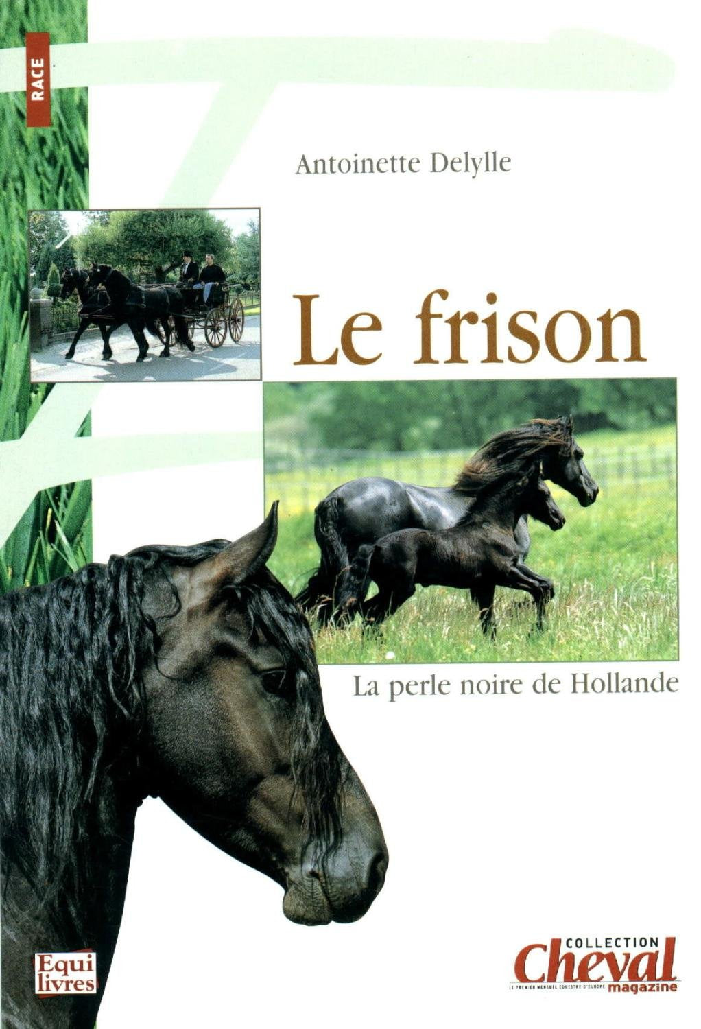 Le frison: La perle noire de Hollande book