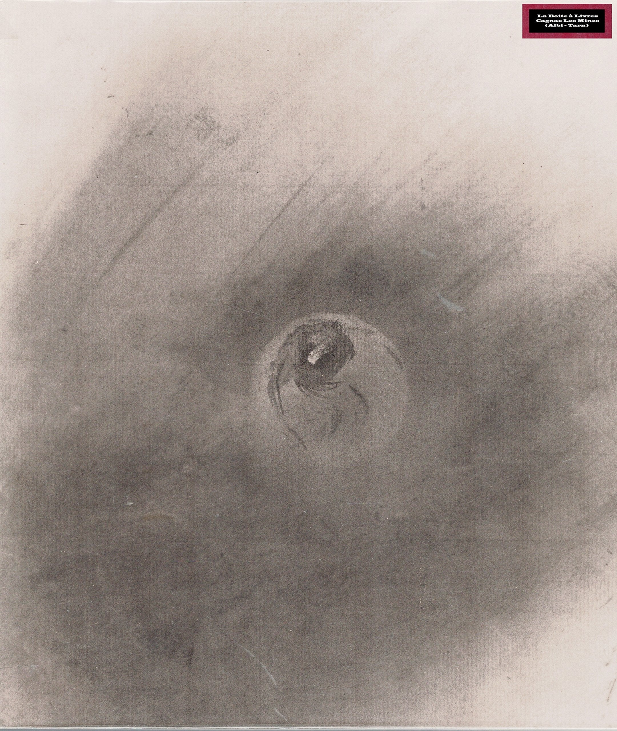 Soleil d'encre - manuscrits et dessins de victor hugo Film, Art & Culture