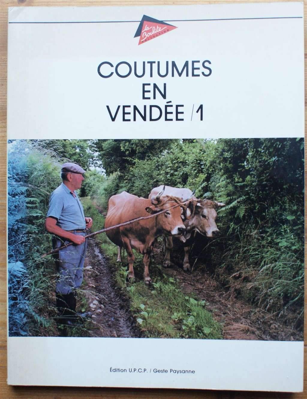 Coutumes en Vendée. Vol. 1 book