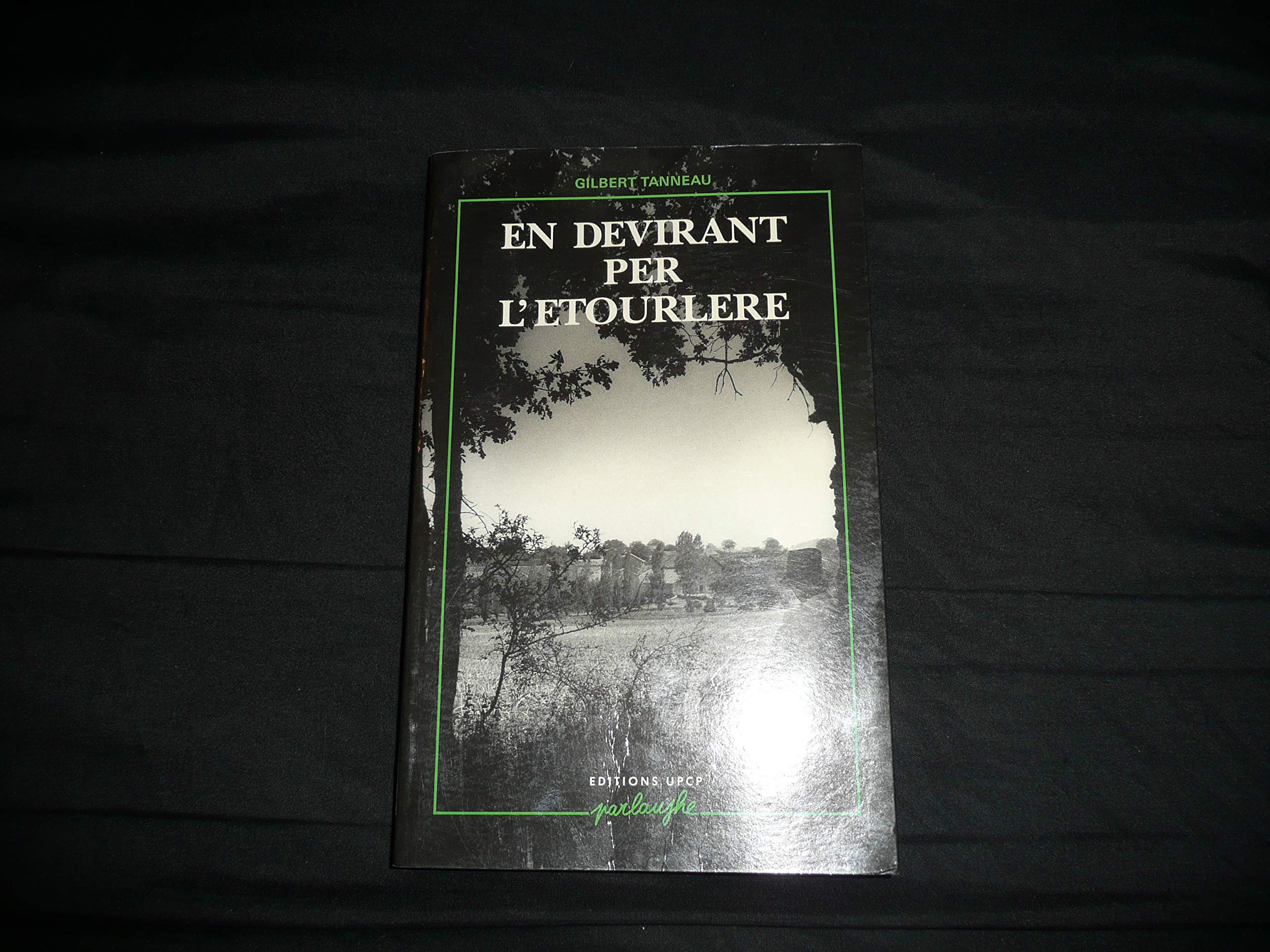 En devirant per l'Etourlère : recueil de poèmes et de textes en parlanjhe poitevin Poetry