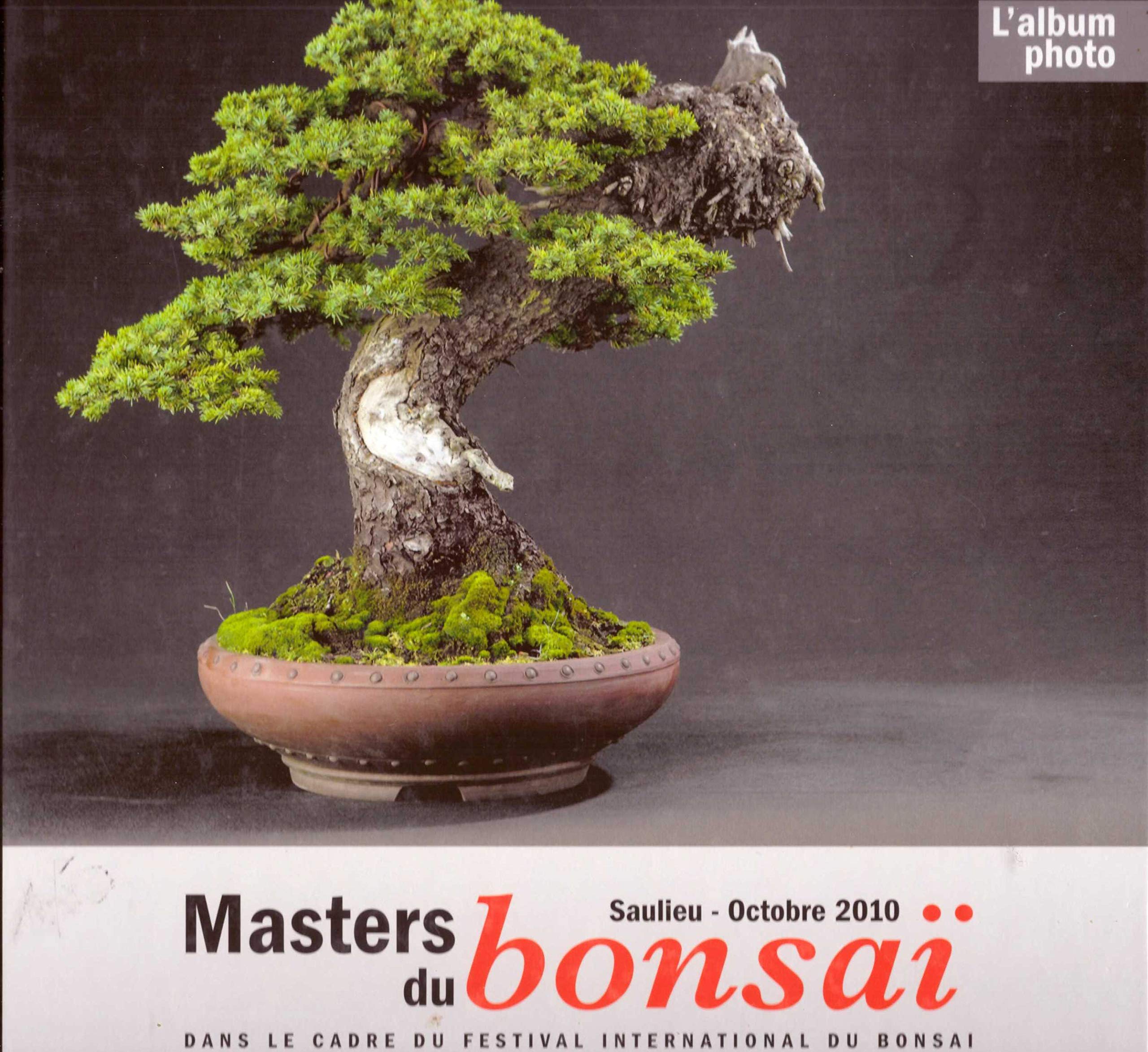 Masters du bonsaï, Saulieu - Octobre 2010 dans le cadre du festival international du BonsaÏ : L'album photo Books