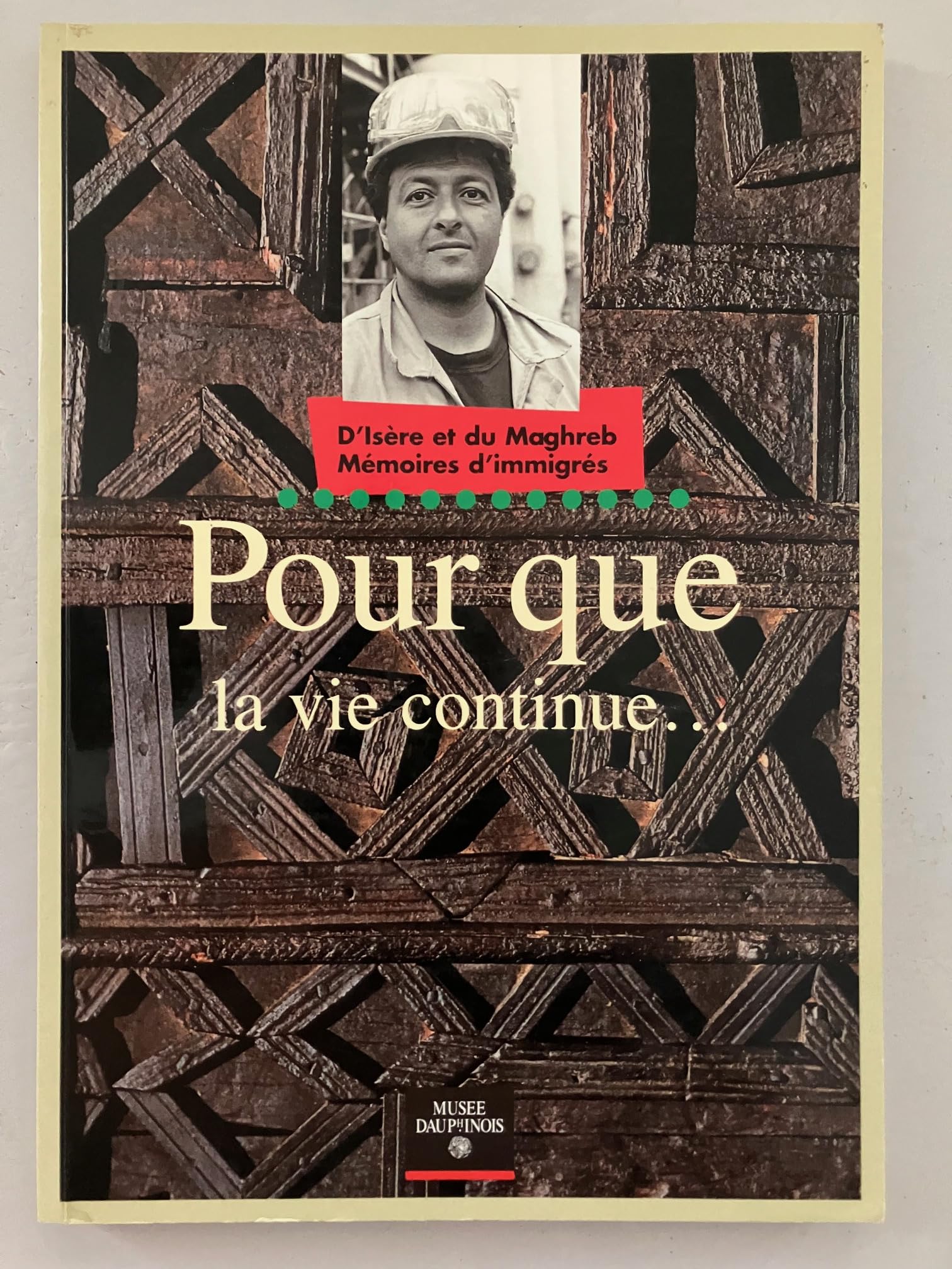 Pour que la vie continue : D'Isère et du Maghreb mémoires d'immigrés book