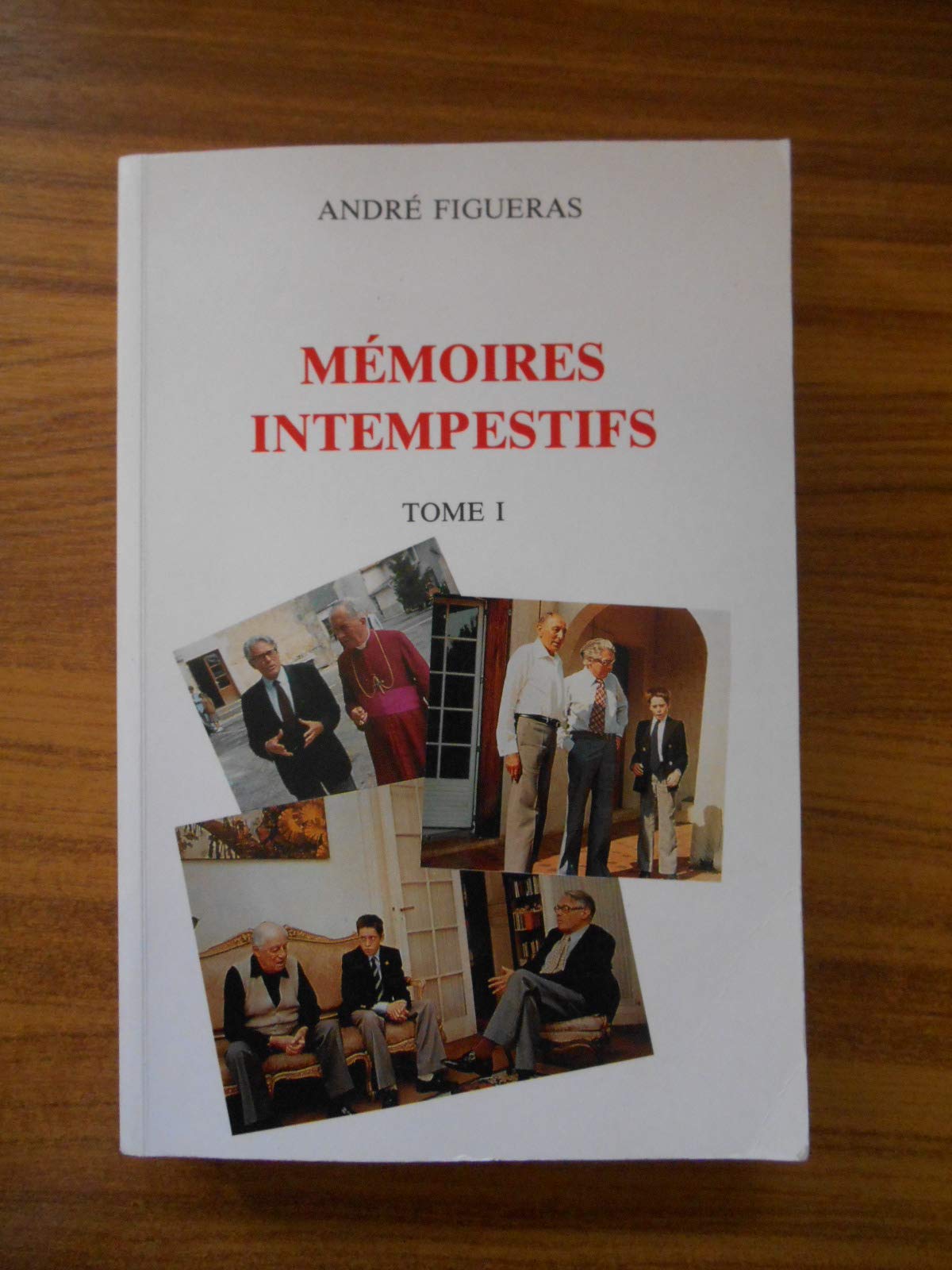 Mémoires intempestifs - tome 1 book