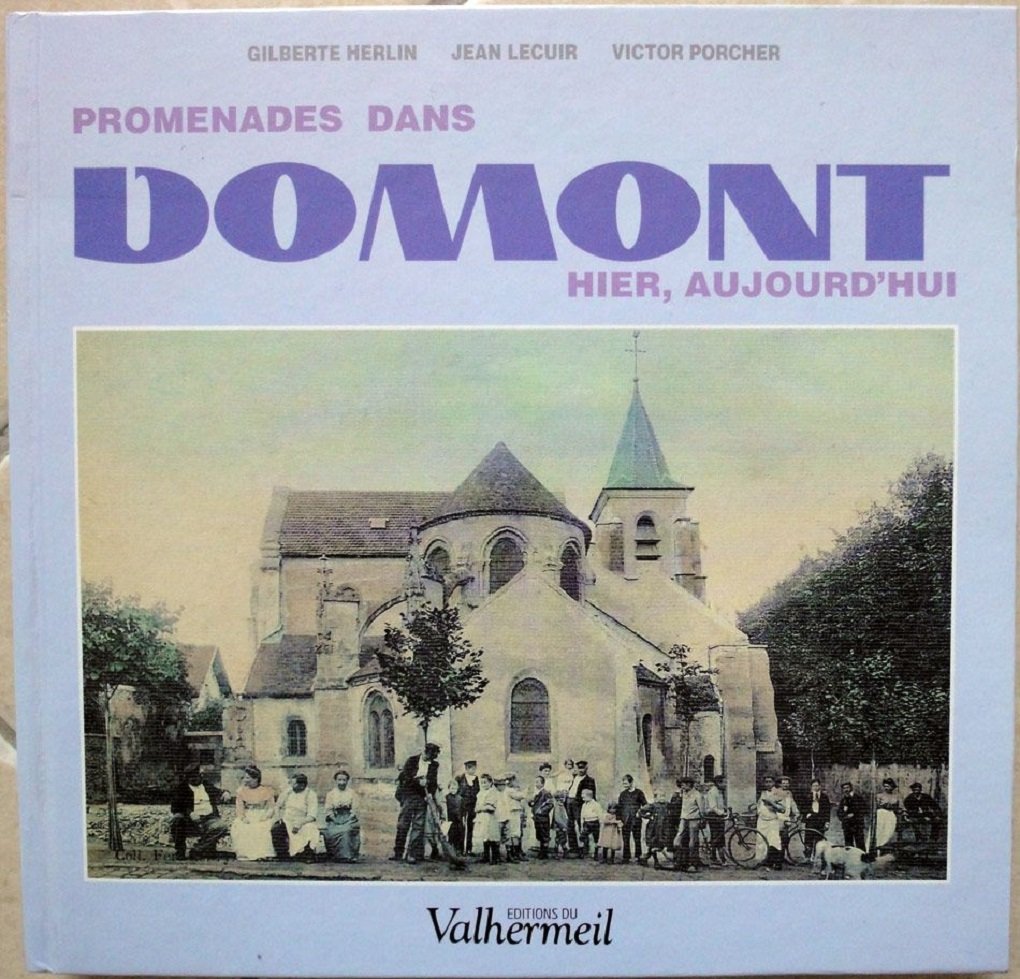 Promenades dans Domont : Hier, aujourd'hui book