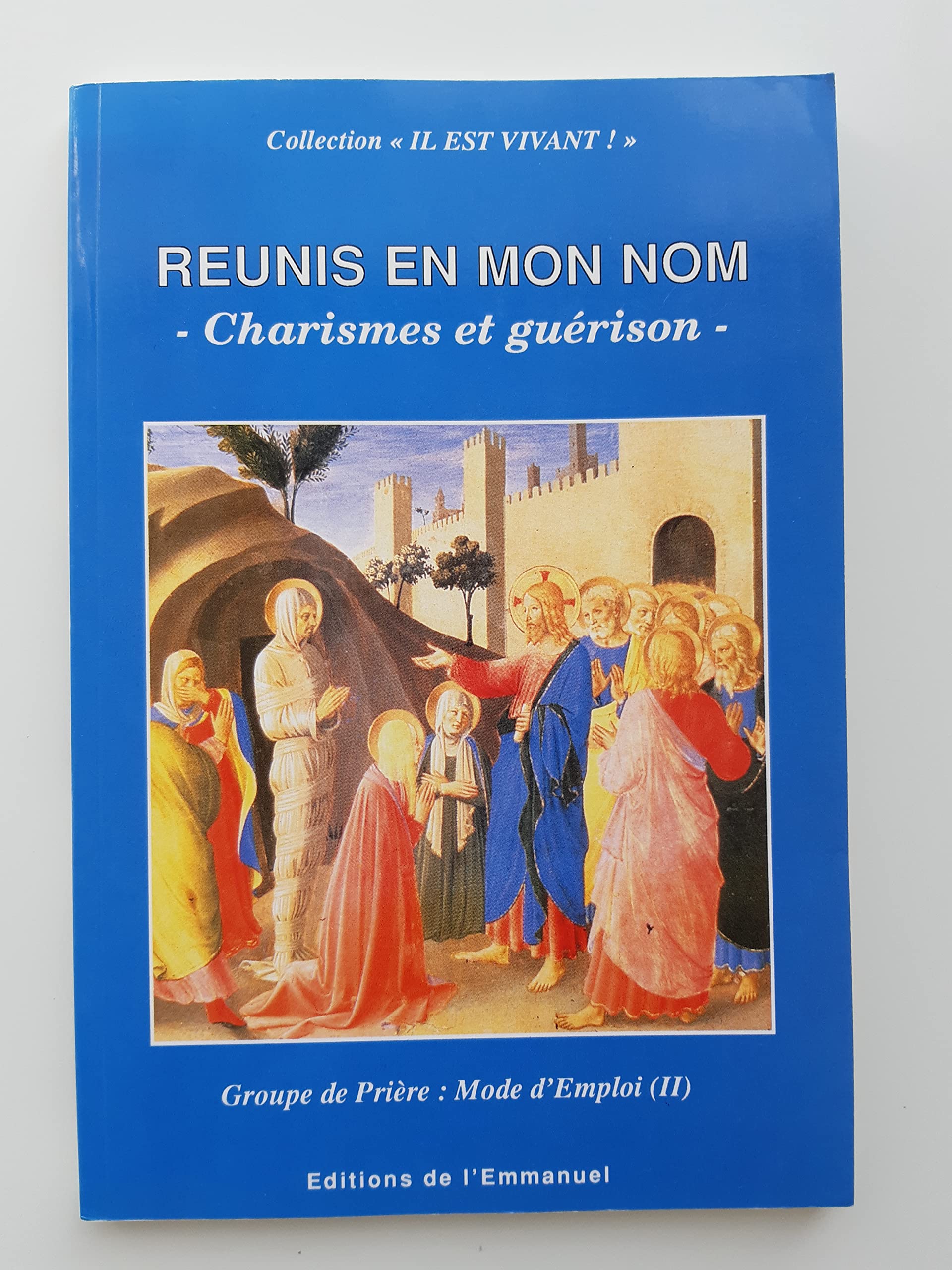Le groupe de prière. Vol. 2. Réunis en mon nom : charismes et guérison book