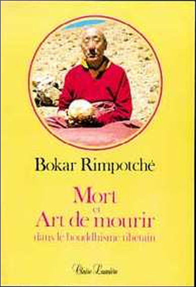 Mort et art de mourir dans le bouddhisme tibétain book