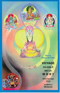 Voyage au-delà de la mort : témoignage vécu, tradition tibétaine Religion & Esotericism