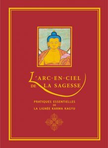 L'arc-en-ciel de la sagesse : Pratiques essentielles de la lignée Karma Kagyu book