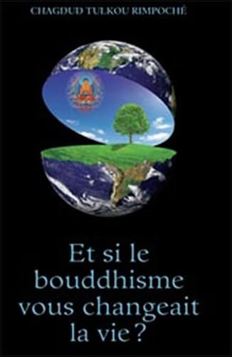 Et si le bouddhisme vous changeait la vie ? book
