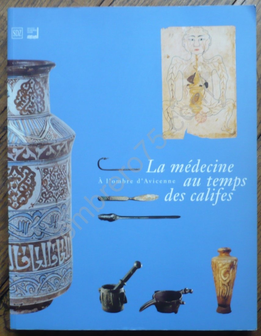 La médecine au temps des califes : à l'ombre d'Avicenne Books