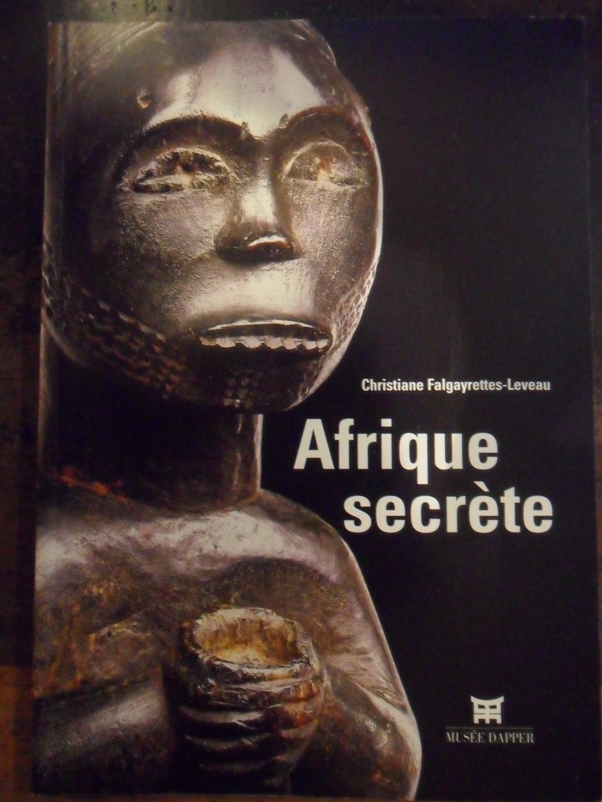 Afrique secrète book