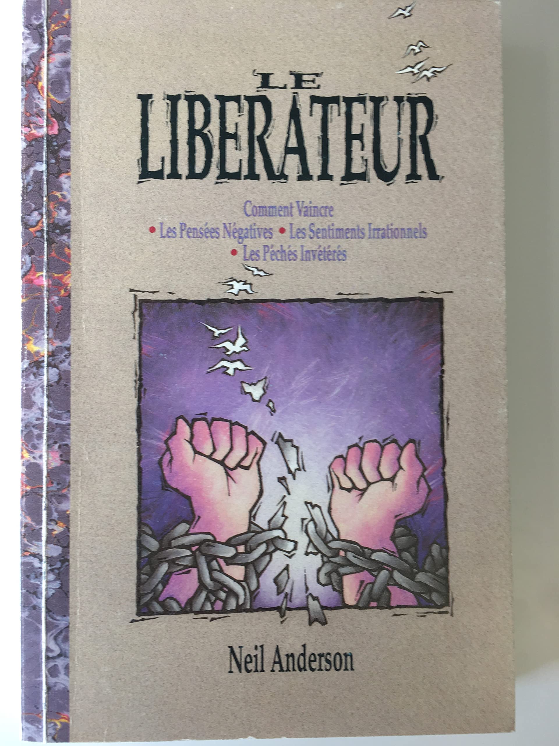 Le Libérateur : comment vaincre les pensées négatives, les sentiments irrationnels, les péchés invétérés Books