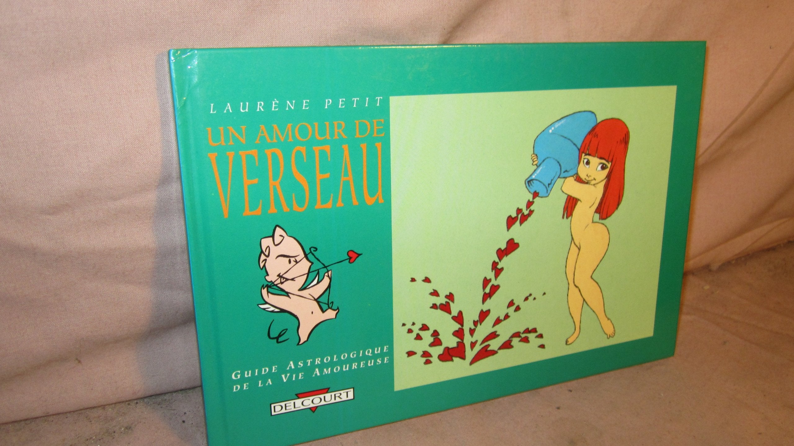 Un amour de Verseau: 20 janvier-18 février book