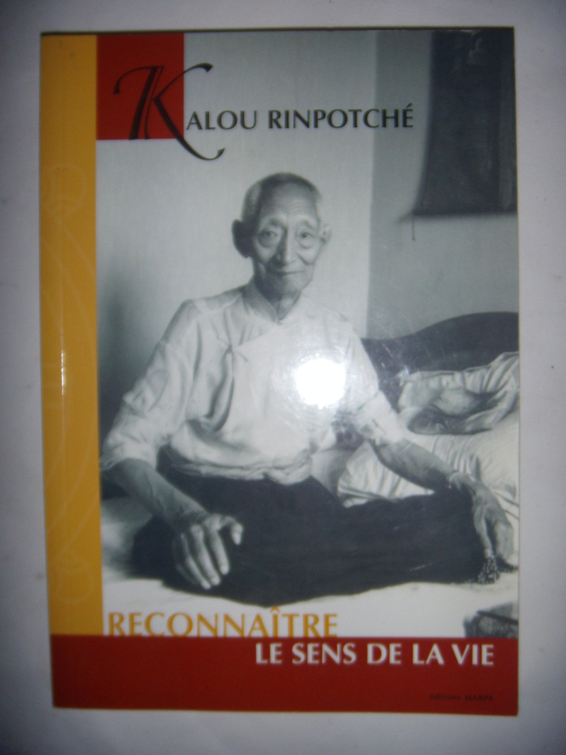 Reconnaître le sens de la vie Books
