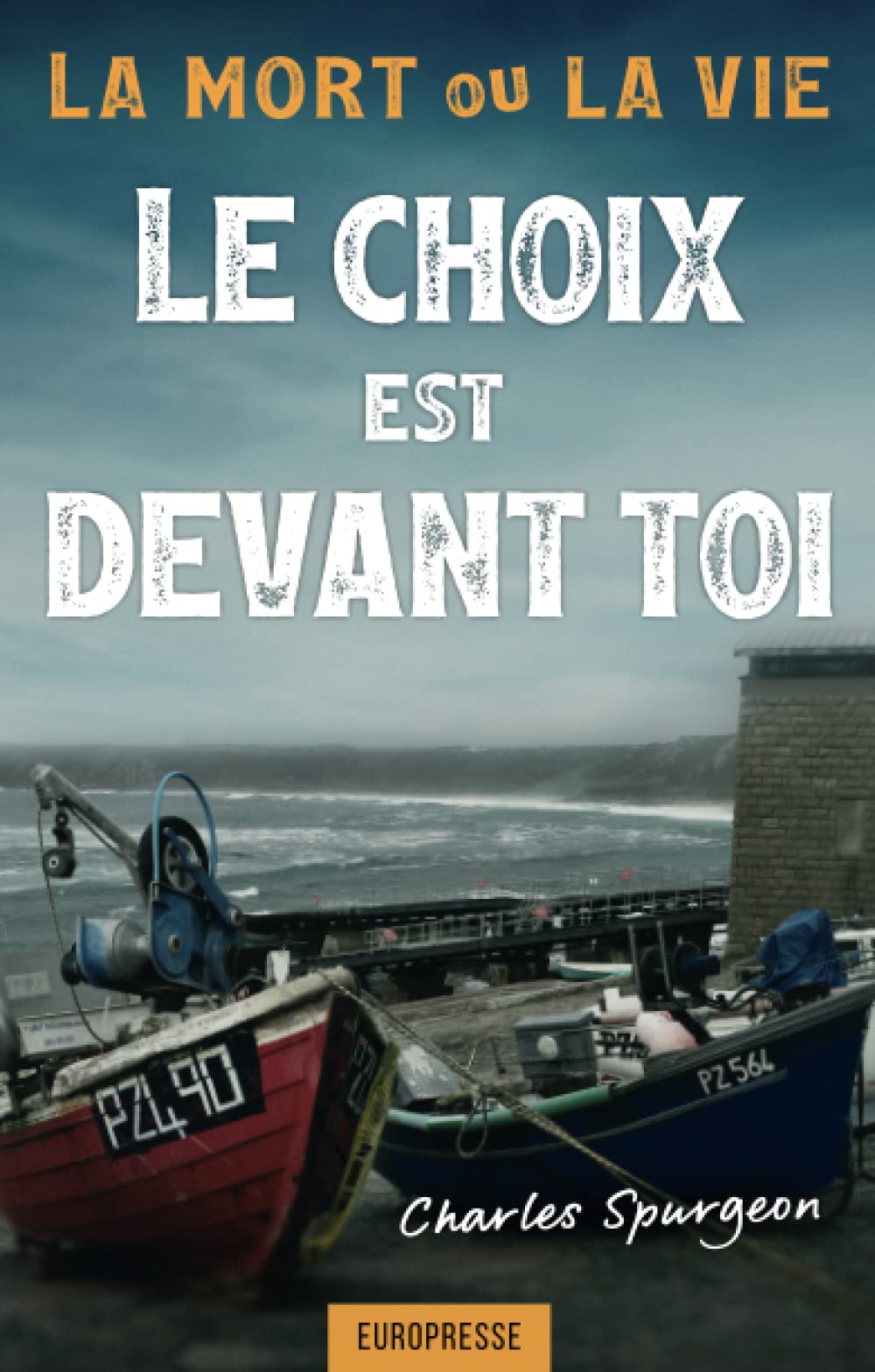 Le choix est devant toi: La mort ou la vie Religion & Esotericism