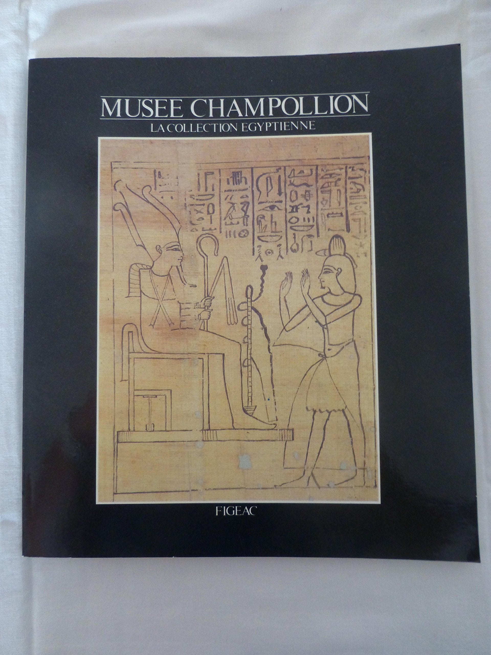 La collection égyptienne du musee champollion book