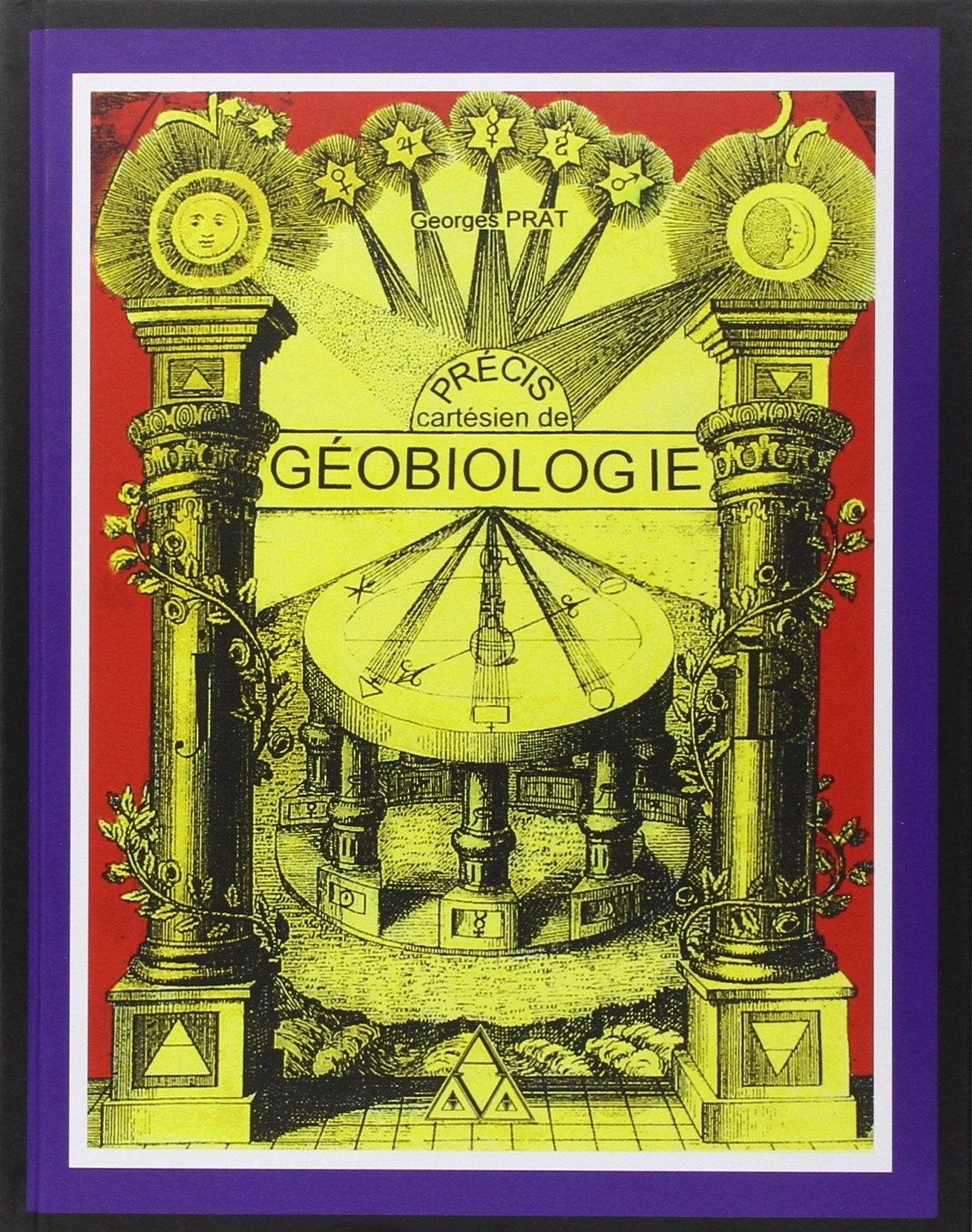 Précis cartésien de géobiologie book