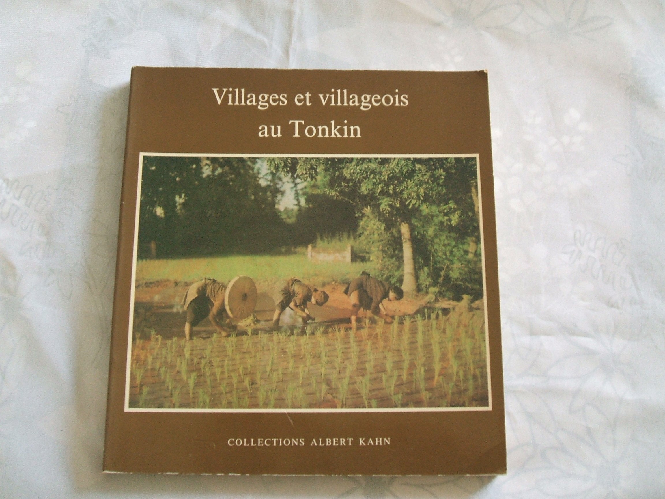 Villages et villageois tonkin Books